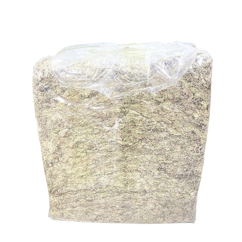 Sphagnum Moss Dry - 5 kg mchu sfeagnowego, sprasowanego i