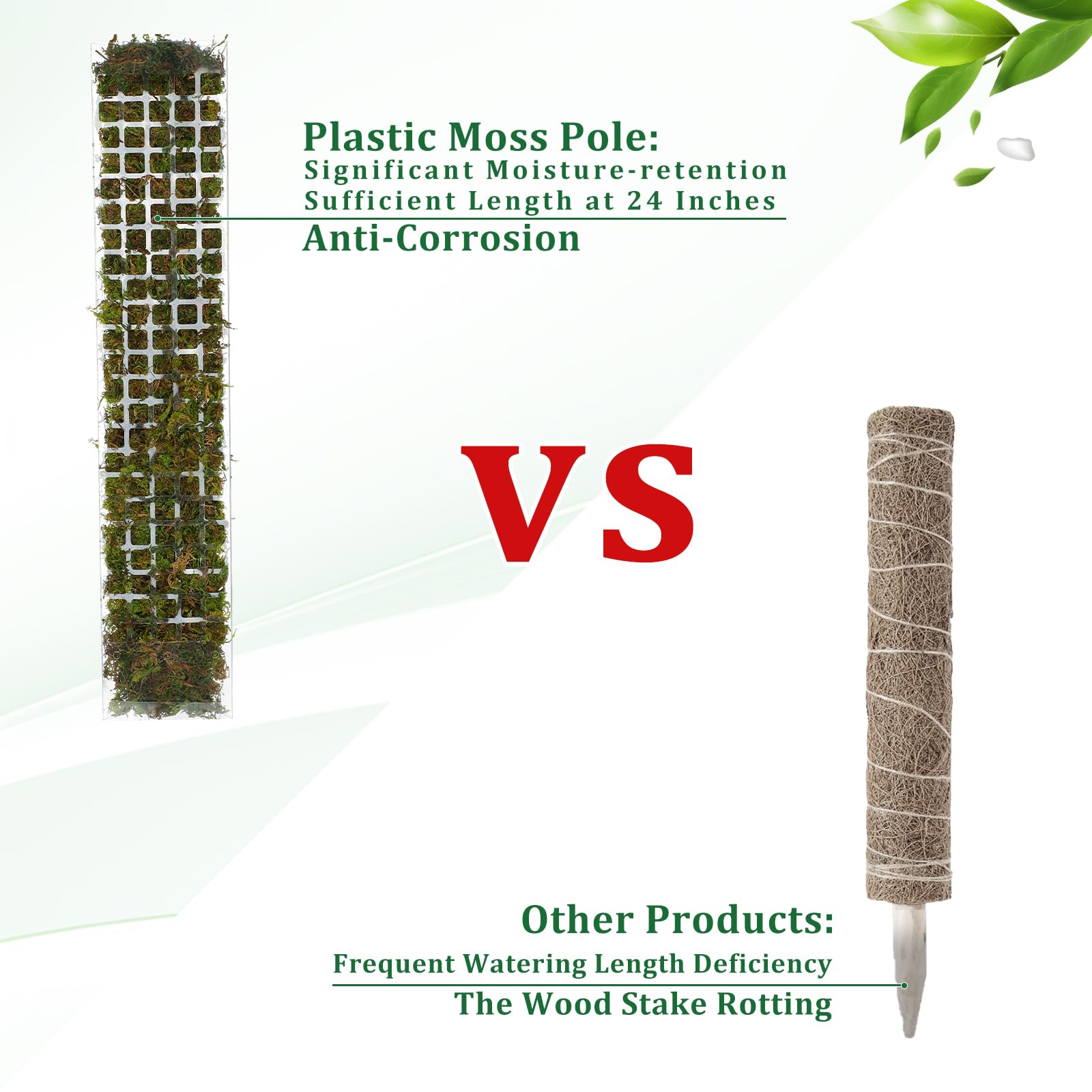 Plastikowy stojak na rośliny p – Sphagnum Moss Dry recenzja i cena